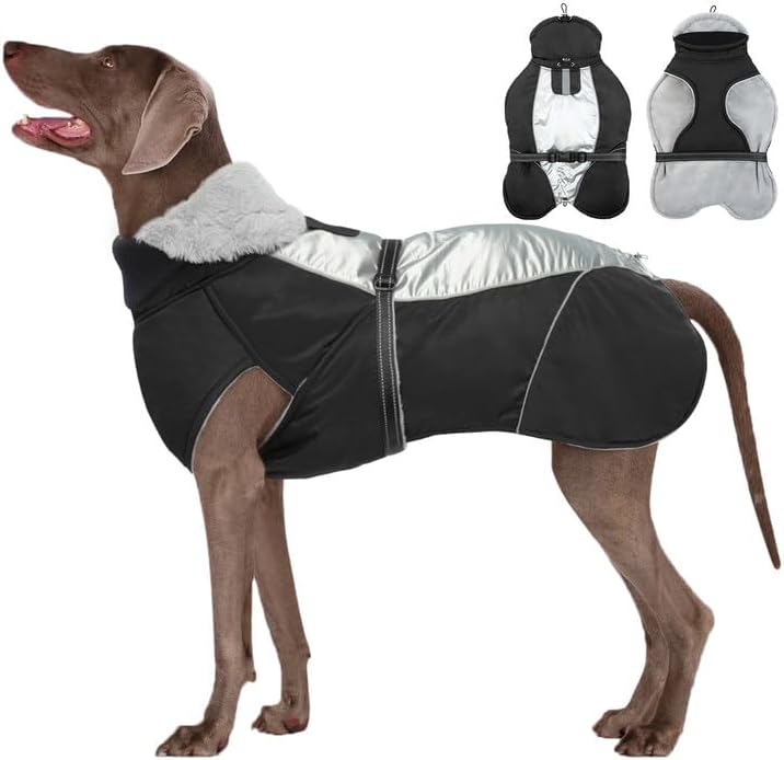 dog jackets