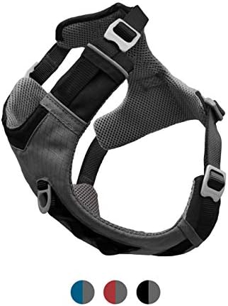 dog harness