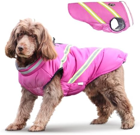 dog jackets