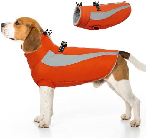 dog jackets