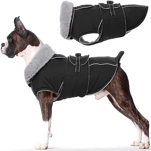 dog jackets for winter