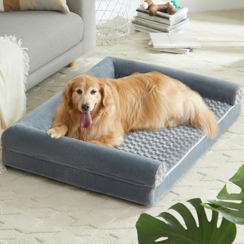 dog beds