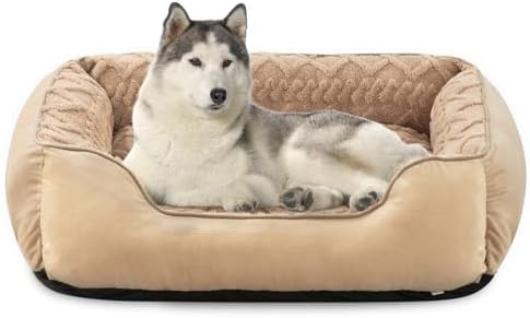 dog beds