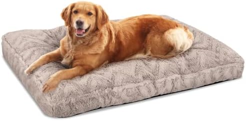 dog beds