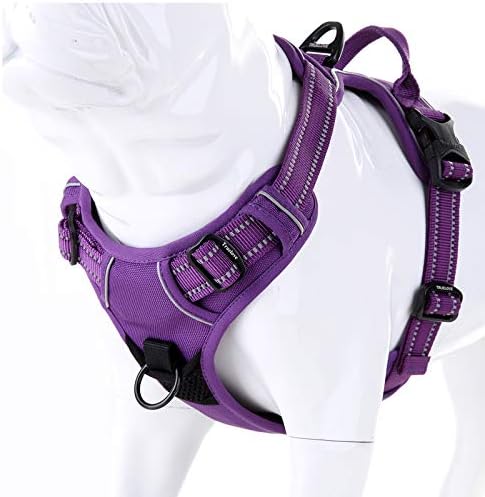 dog harness