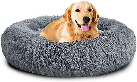 dog beds