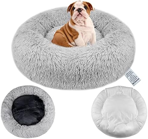 dog beds