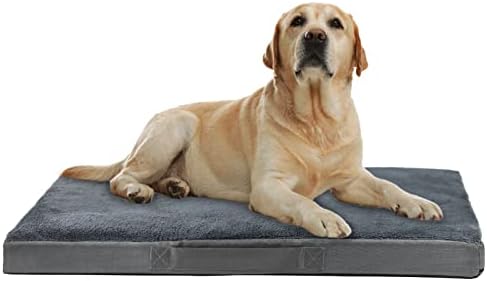 dog beds