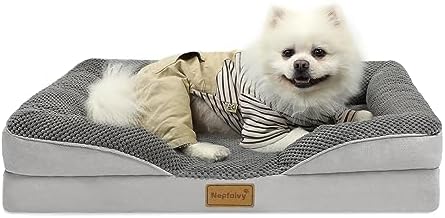 dog beds