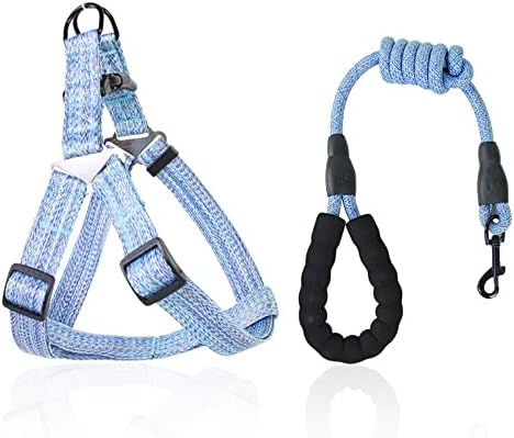 dog harness