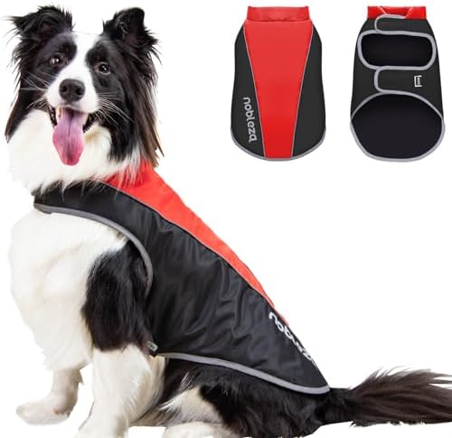 dog jackets