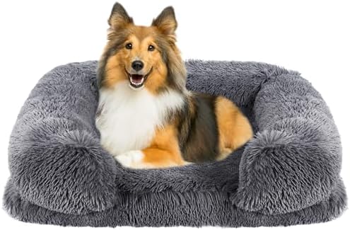 dog beds