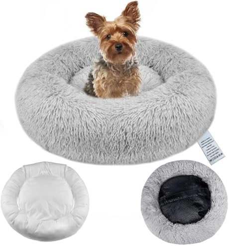 dog beds