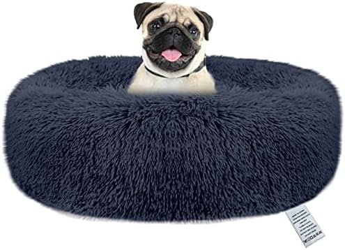 dog beds