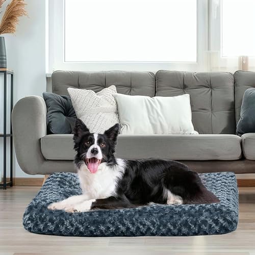 dog beds