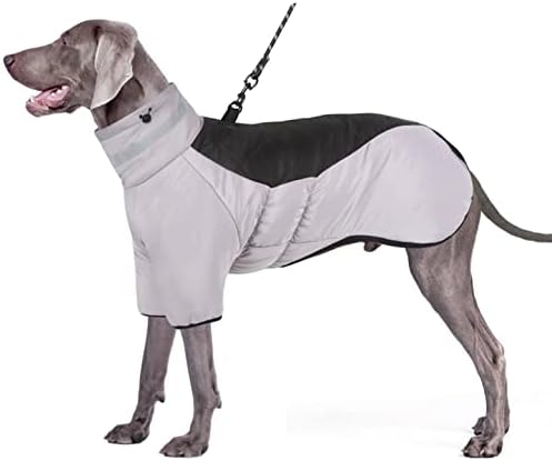 dog jackets