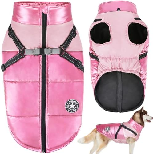 dog jackets