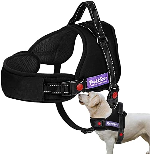 dog harness