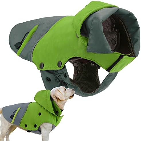 dog jackets