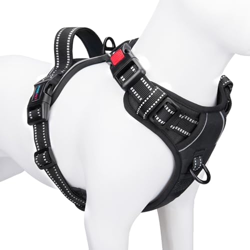 dog harness