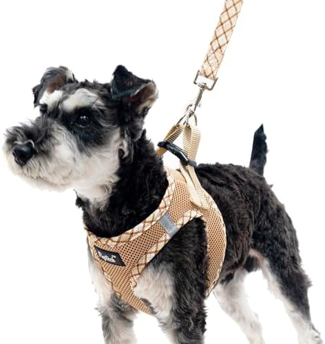 dog harness