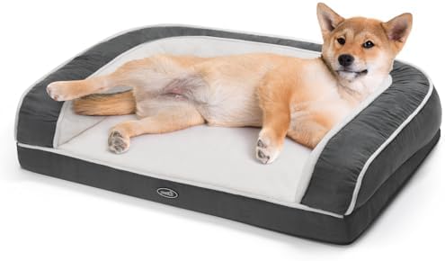 dog beds