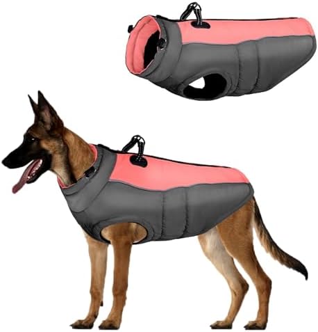 dog jackets