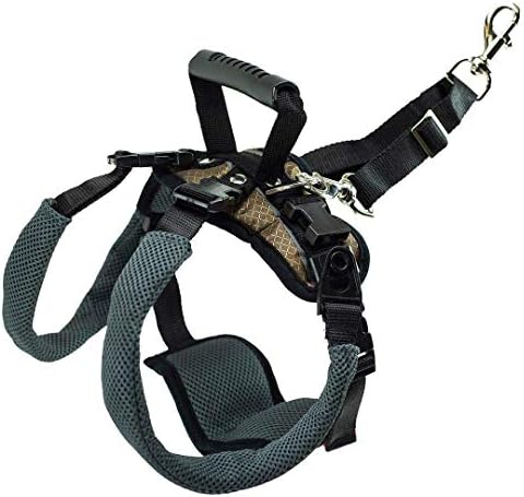 dog harness