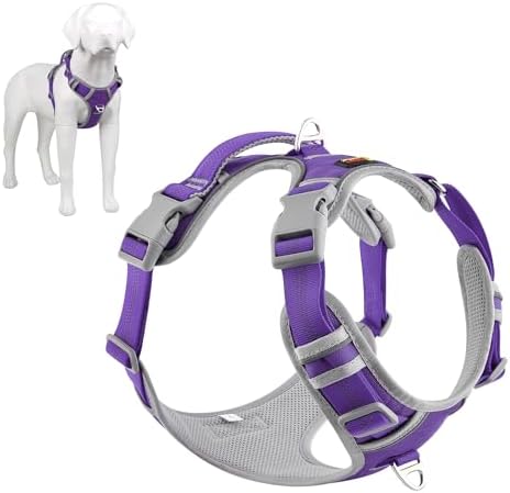 dog harness