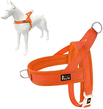 dog harness