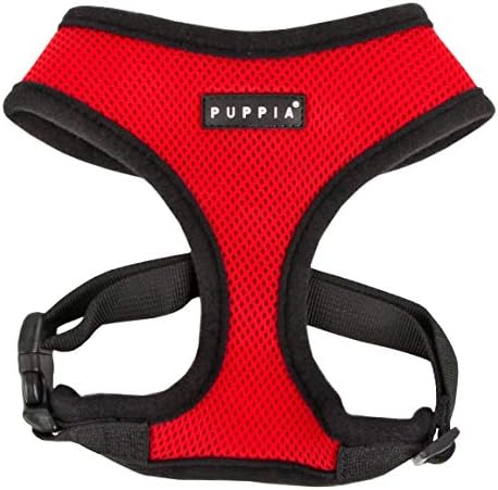 dog harness