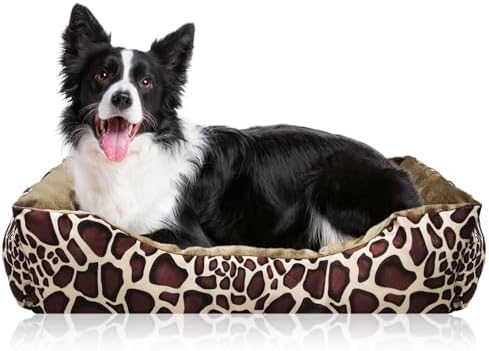 dog beds