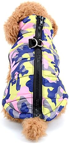 dog jackets