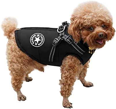 dog jackets