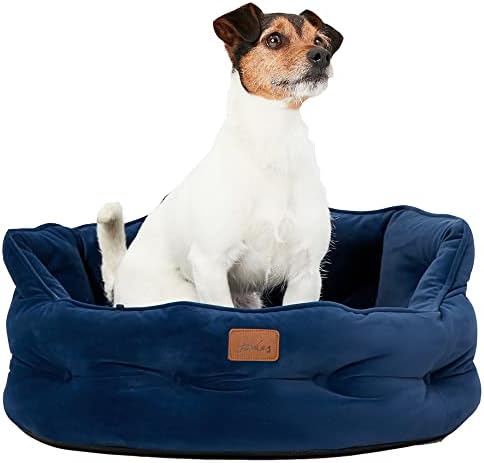 dog beds