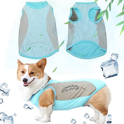 dog jackets