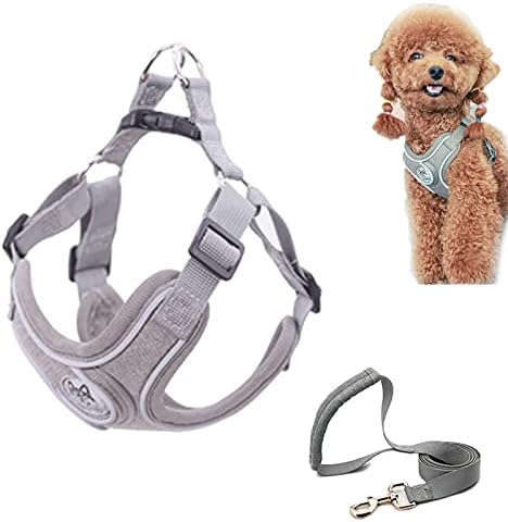 dog harness