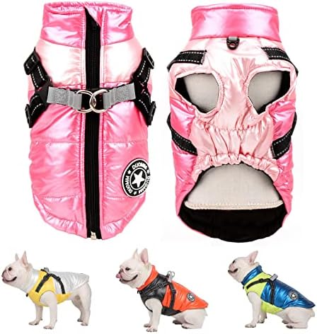 dog jackets