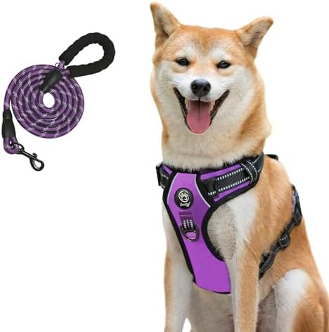 dog harness