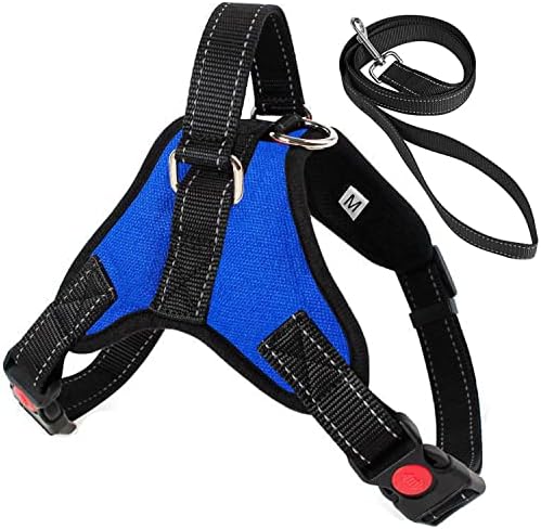 dog harness