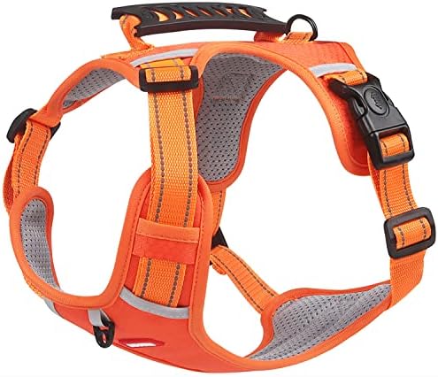 dog harness