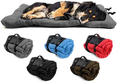 dog beds