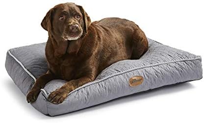 dog beds