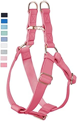 dog harness