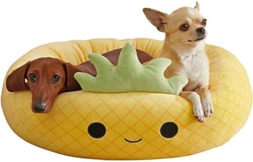 dog beds