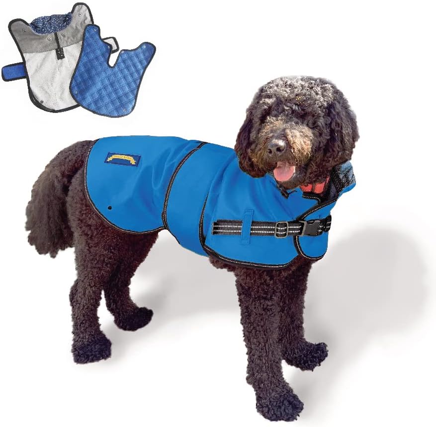 dog jackets