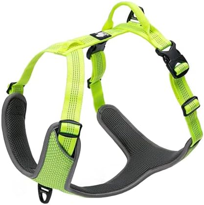 dog harness