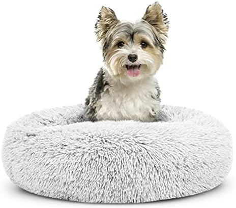 dog beds