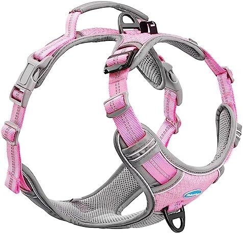 dog harness