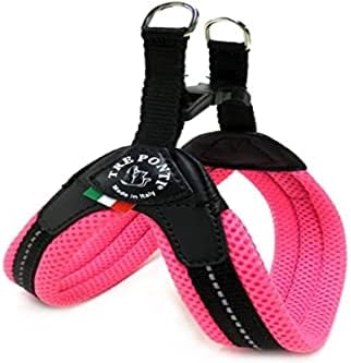 dog harness